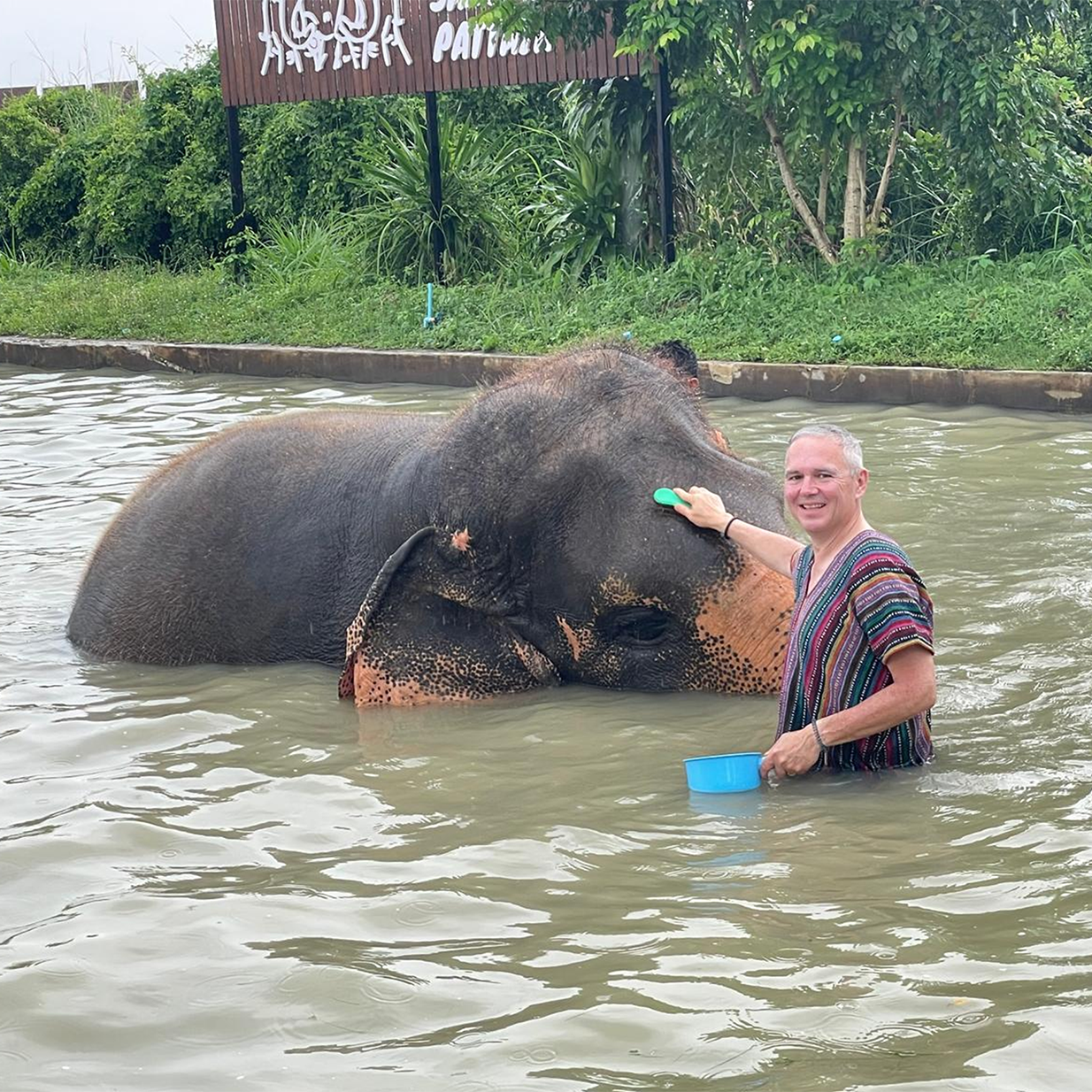 Elephants in Thailand
